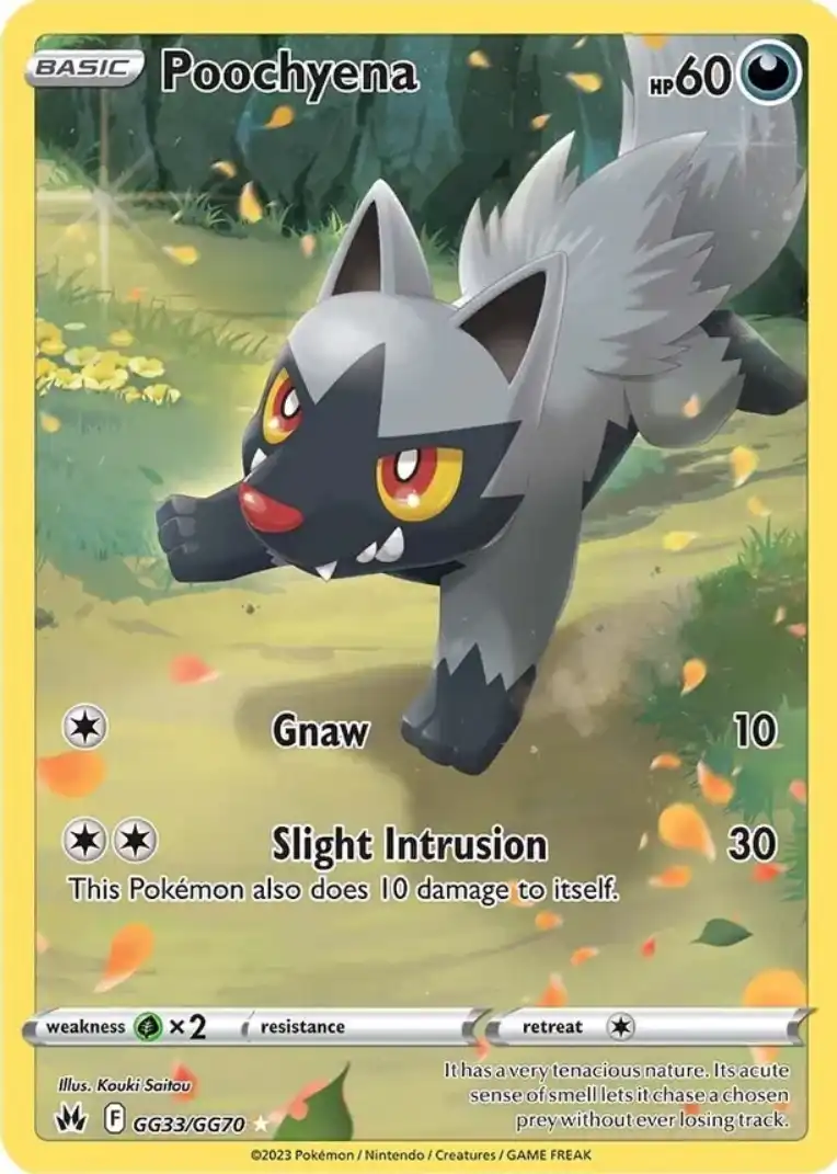 Galarian Gallery 33<br>Poochyena