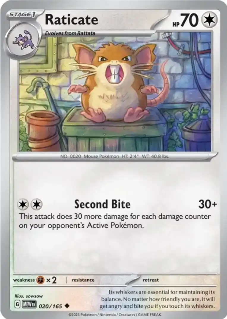 Raticate