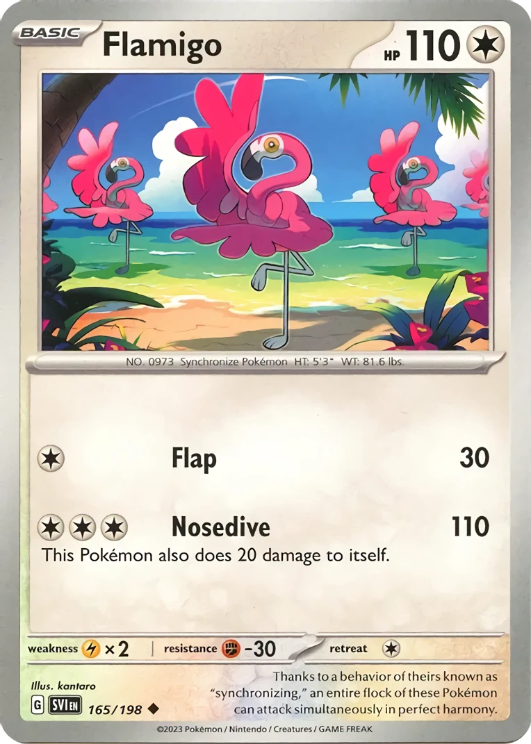 Flamingo
